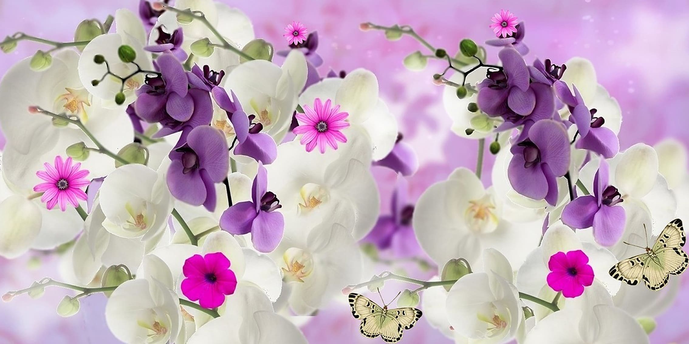 🌸 Blumen & Naturdetails