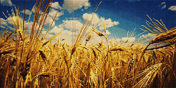 Diamond Painting mit goldenem Gerstenfeld, reifen Ähren und blauem Himmel mit weißen Wolken. Mockup.