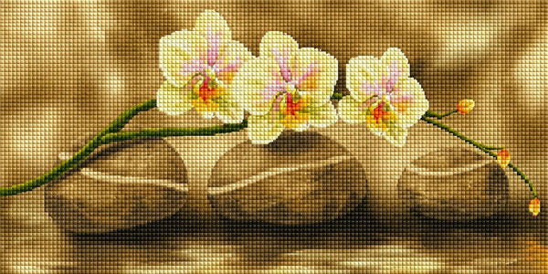 Diamond Painting weiße Orchideenblüten, die über drei runden Zen-Steinen im Wasser schweben. Mockup.