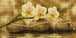 Diamond Painting weiße Orchideenblüten, die über drei runden Zen-Steinen im Wasser schweben. Mockup.