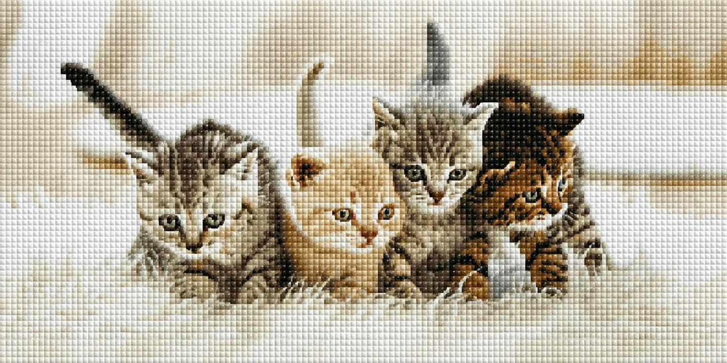 Diamond Painting von vier kleinen Katzenbabys mit großen Augen auf einer weißen Decke. Mockup.