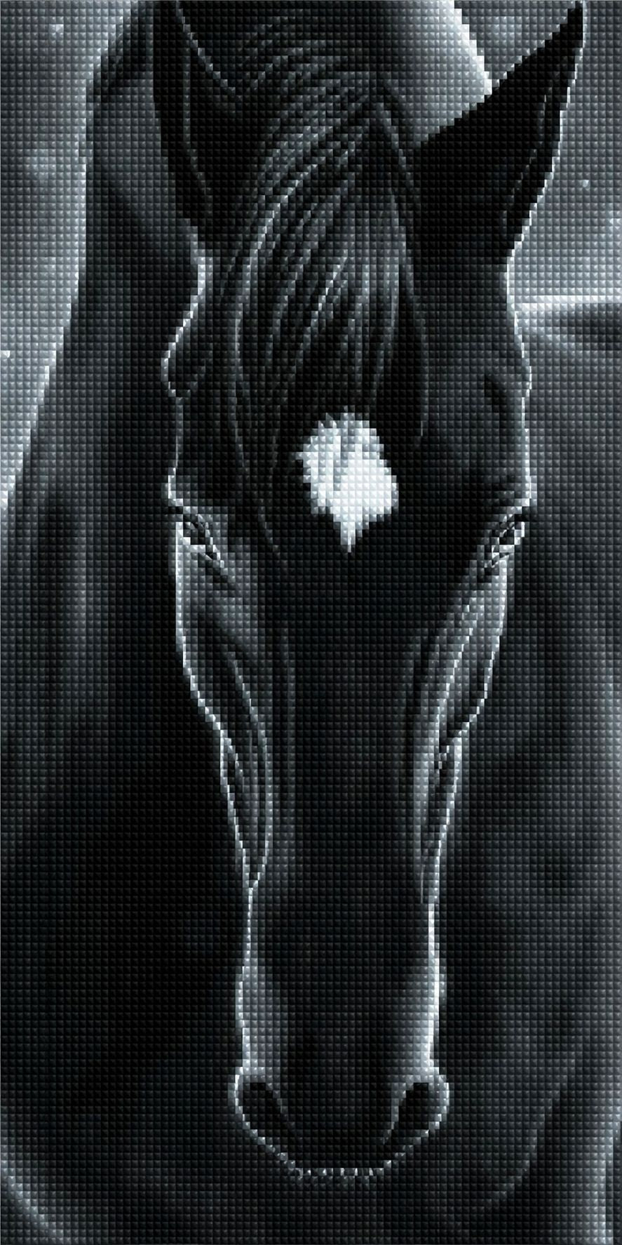 Diamond Painting Portrait eines schwarzen Pferdekopfes mit weißem Abzeichen auf der Stirn. Mockup.