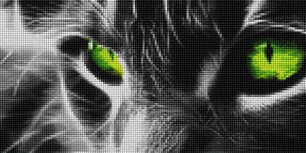 Diamond Painting mit Nahaufnahme einer Katze und leuchtend grünen Augen in Schwarz-Weiß. Mockup.