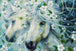 Diamond Painting mit zwei weißen Pferden, weißen Blüten und fließenden Mähnen in sanften Naturfarben. Mockup.