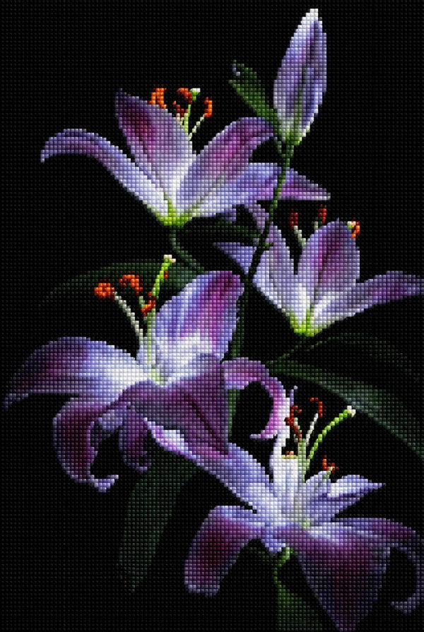 Diamond Painting mit violett-weißen Lilien vor schwarzem Hintergrund in realistischer Darstellung. Mockup.