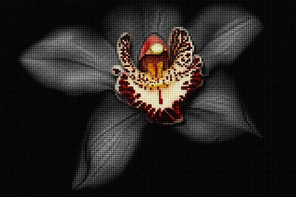 Diamond Painting mit exotischer Tigerorchidee vor schwarzem Hintergrund in kontrastreicher Makroansicht. Mockup.