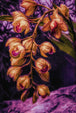 Diamond Painting mit hängenden Orchideenblüten in Creme- und Rosétönen vor dunklem Naturhintergrund. Mockup.