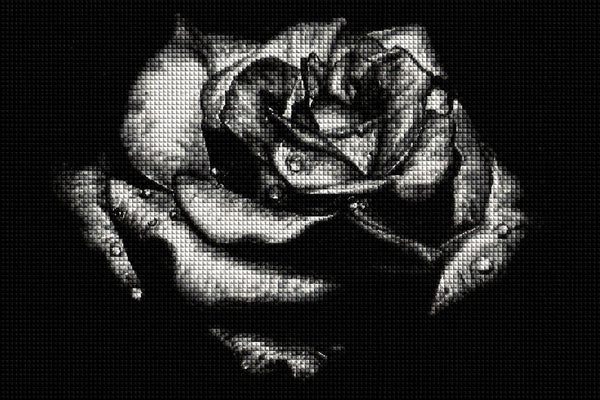 Diamond Painting mit schwarzer Rose in Schwarz-Weiß und Wassertropfen vor dunklem Hintergrund. Mockup.