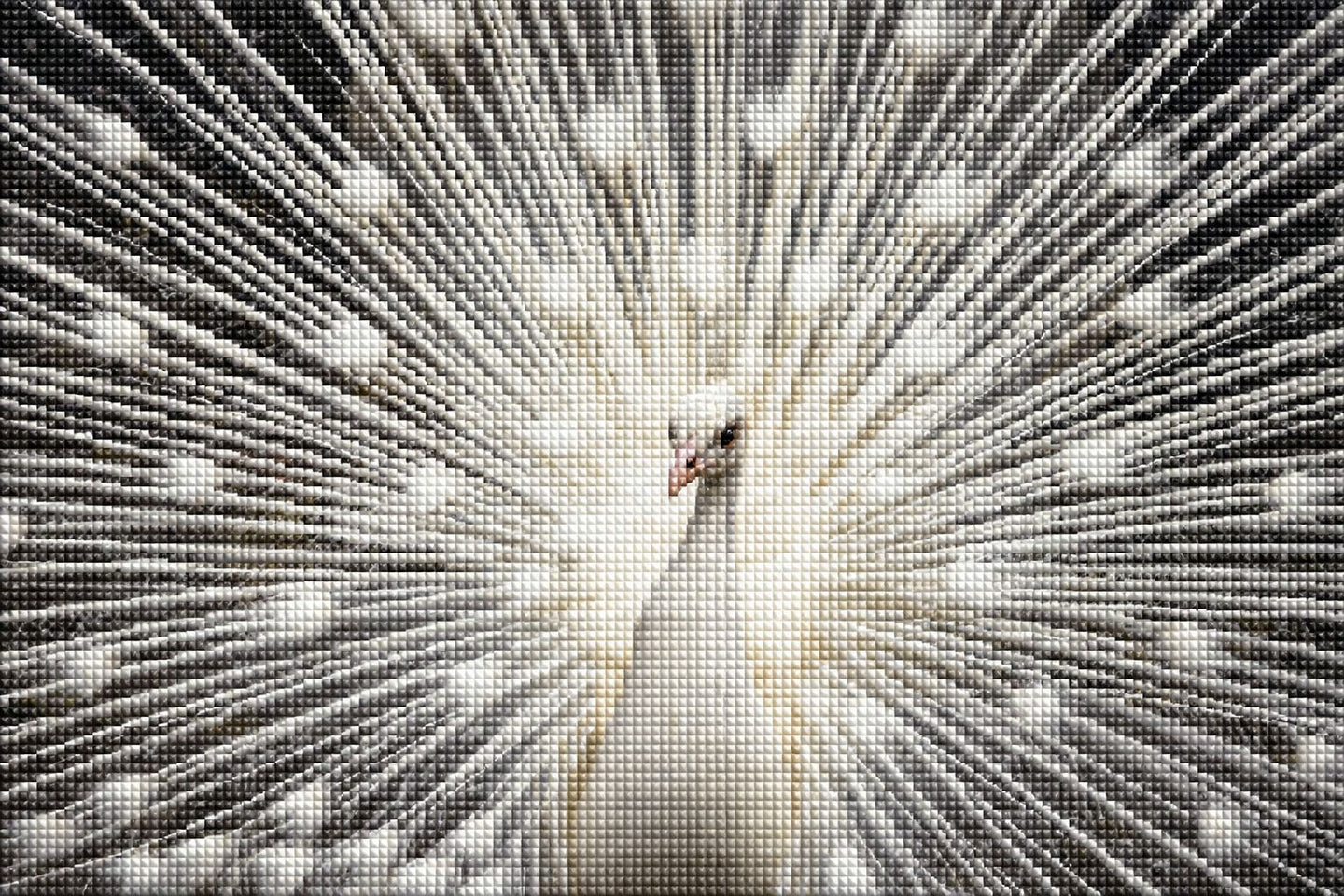 Diamond Painting mit weißem Pfau und vollständig geöffnetem Federkleid vor dunklem Hintergrund. Mockup.