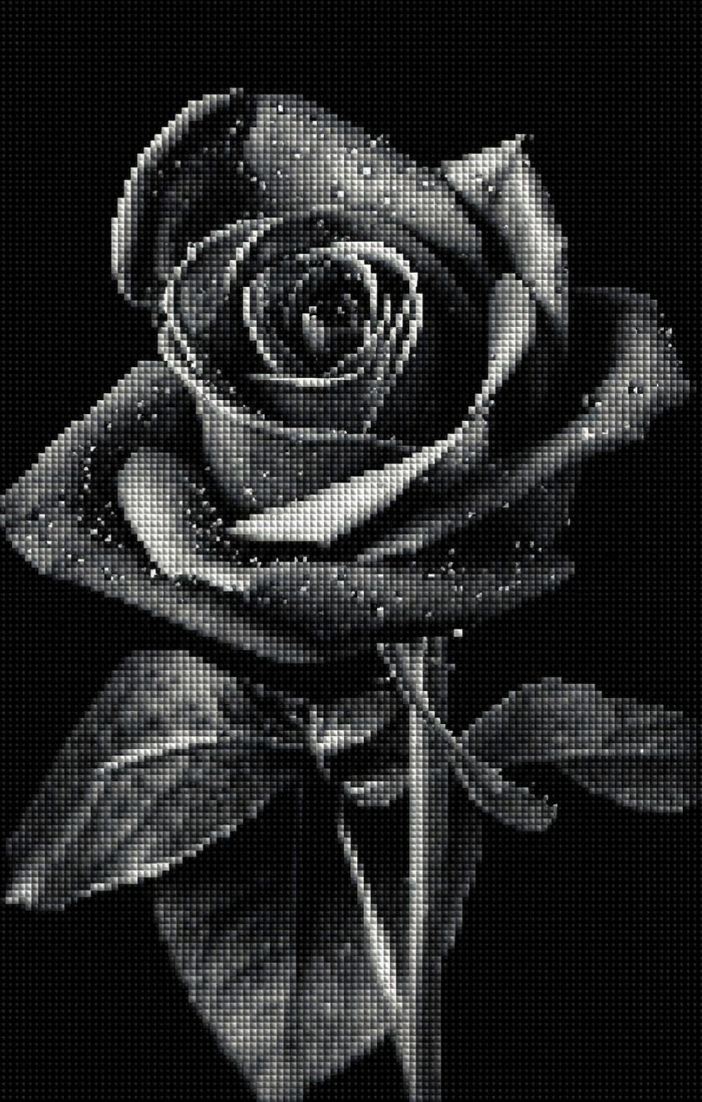 Diamond Painting mit schwarzer Rose und Wassertropfen vor schwarzem Hintergrund im monochromen Fotostil. Mockup.