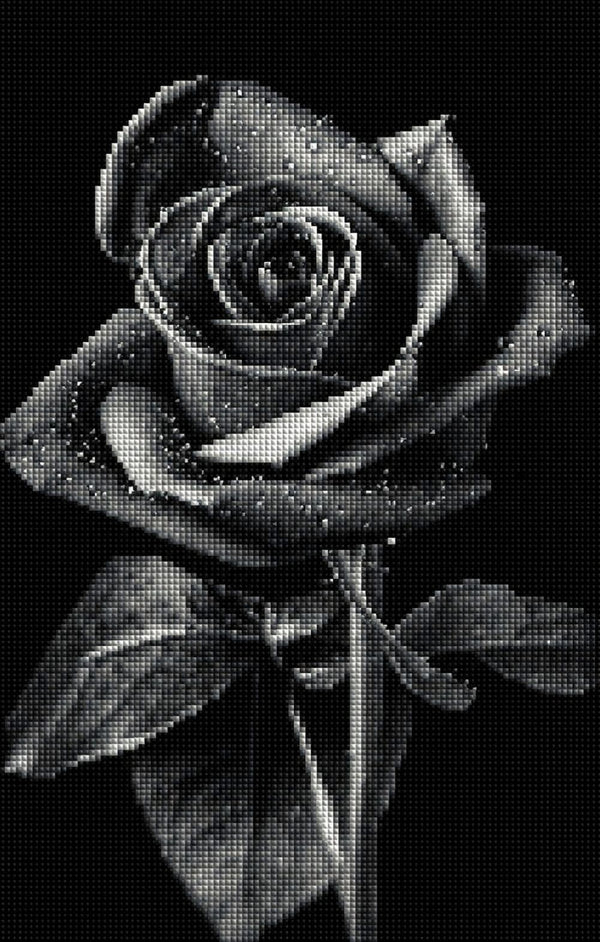 Diamond Painting mit schwarzer Rose und Wassertropfen vor schwarzem Hintergrund im monochromen Fotostil. Mockup.