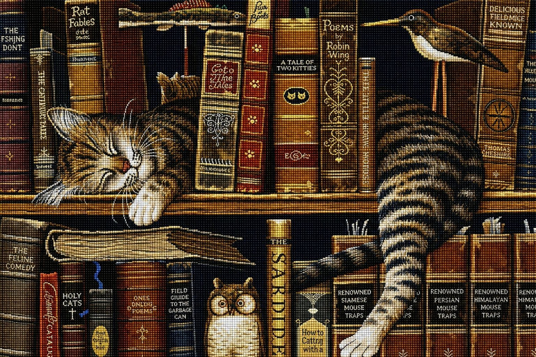 Diamond Painting mit schlafender Katze zwischen antiken Büchern in einem detailreichen Bücherregal. Mockup.