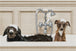 Süßes Diamond Painting von zwei nassen Hunden mit Schaum auf dem Kopf in einer weißen Badewanne. Mockup.