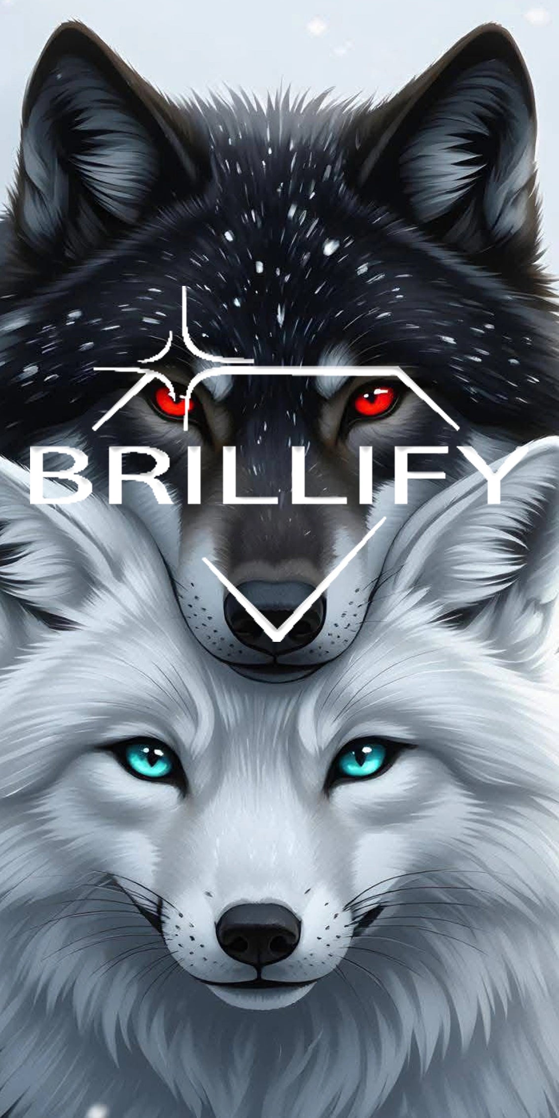 Diamond Painting Motiv schwarzer und weißer Wolf als Duo, Farbwelt Schwarz, Weiß, Silber, türkis