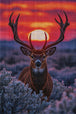 Diamond Painting mit Hirsch und großem Geweih vor einem orangefarbenen Sonnenuntergang. Mockup.