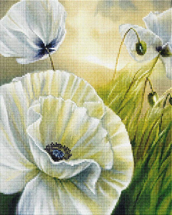 Diamond Painting von großen weißen Mohnblüten auf einer Wiese vor einem hellen, sonnigen Hintergrund. Mockup.