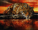 Diamond Painting eines Leoparden, der aus einem Fluss trinkt, mit perfekter Spiegelung im Wasser bei Sonnenuntergang. Mockup.