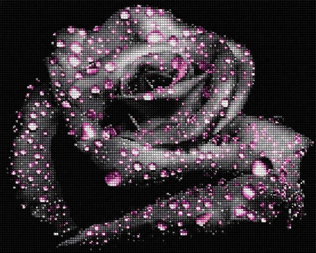 Diamond Painting mit schwarzer Rose und rosa Tautropfen vor schwarzem Hintergrund. Mockup.