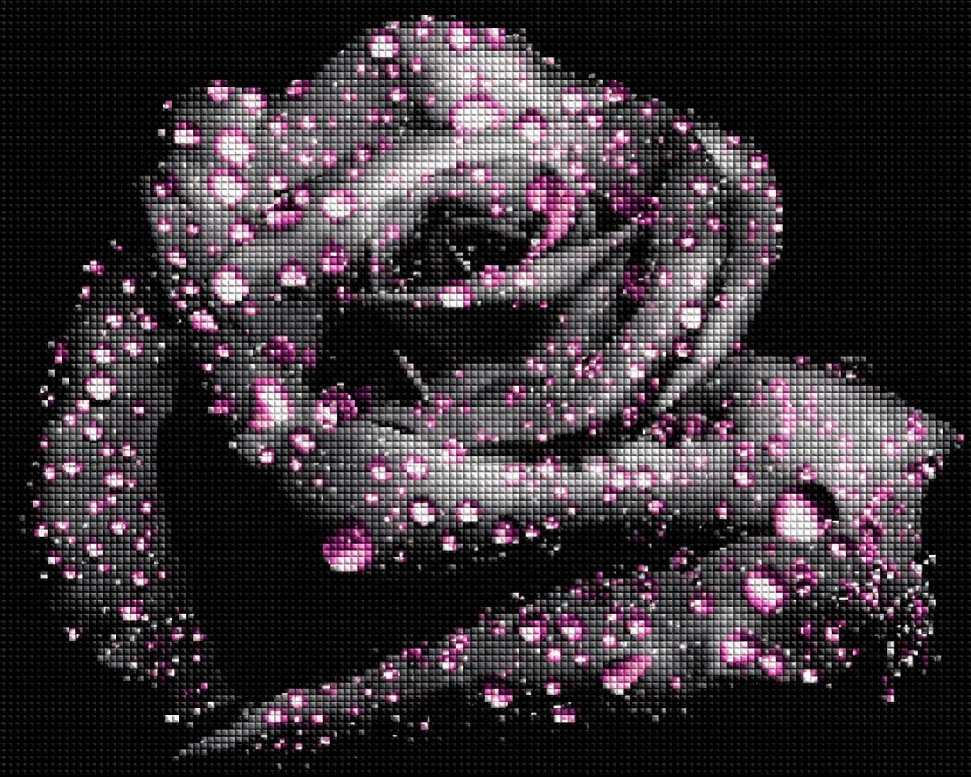 Diamond Painting mit schwarzer Rose und rosa Tautropfen vor schwarzem Hintergrund. Mockup.