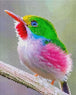 Diamond Painting mit farbenprächtigem exotischem Vogel auf einem Ast im fotorealistischen Stil. Mockup.