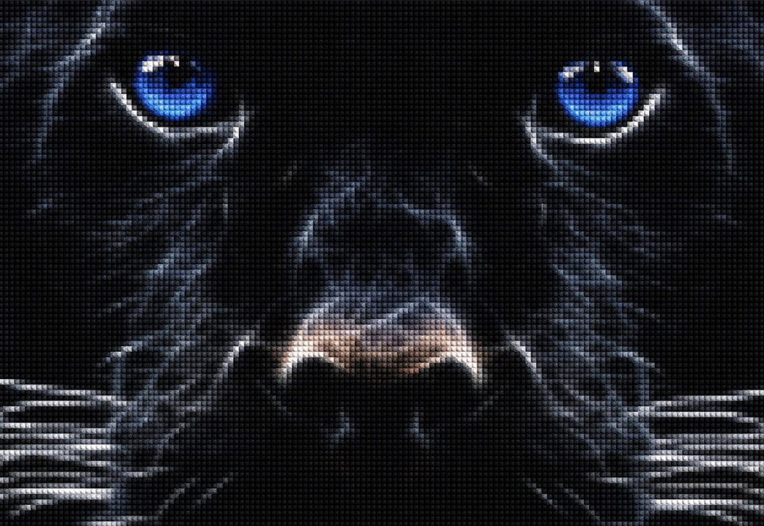 Diamond Painting Hund mit leuchtend blauen Augen und dunklem Fell.
Mockup.