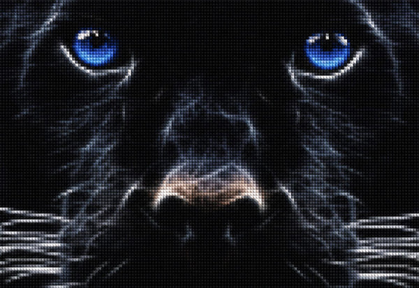 Diamond Painting Hund mit leuchtend blauen Augen und dunklem Fell.
Mockup.