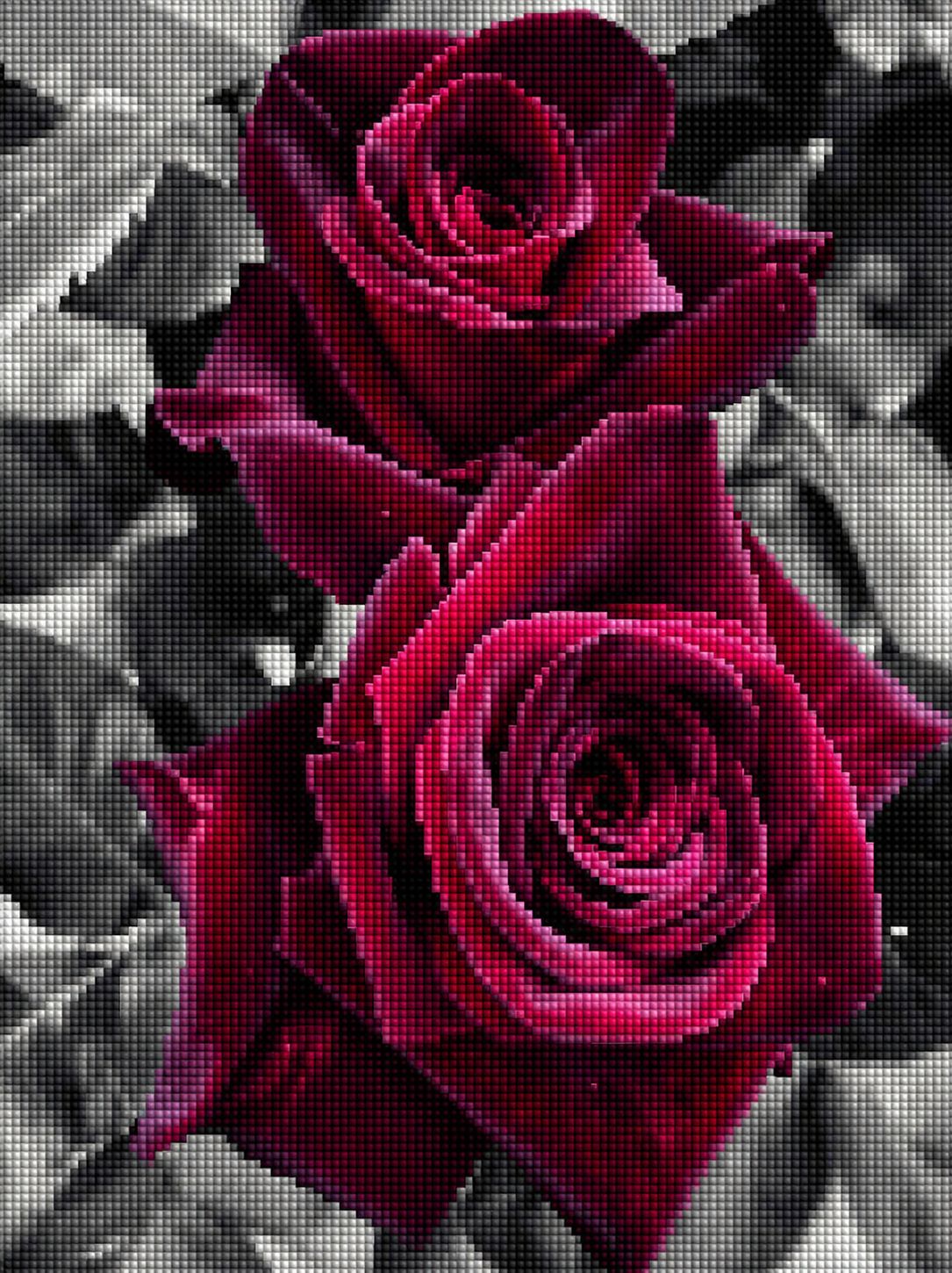 Diamond Painting von zwei dunkelroten Rosen in Nahaufnahme vor einem schwarz-weißen Blätterhintergrund. Mockup.