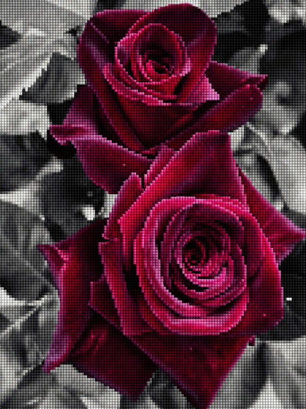Diamond Painting von zwei dunkelroten Rosen in Nahaufnahme vor einem schwarz-weißen Blätterhintergrund. Mockup.