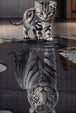 Diamond Painting einer kleinen Katze, die in eine Pfütze blickt und darin einen Tiger als Spiegelbild sieht. Mockup.