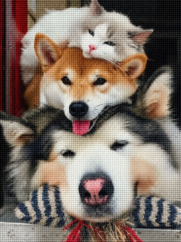 Diamond Painting mit weißer Katze auf Shiba Inu und Husky im fotorealistischen Tiermotiv. Mockup.
