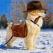 Diamond Painting mit weißem Hund im Schnee, Fedora-Hut, Ledertasche und Peitsche. Mockup.