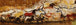 Diamond Painting einer prähistorischen Höhlenmalerei mit mehreren Wildtieren auf einer Felswand. Mockup.
