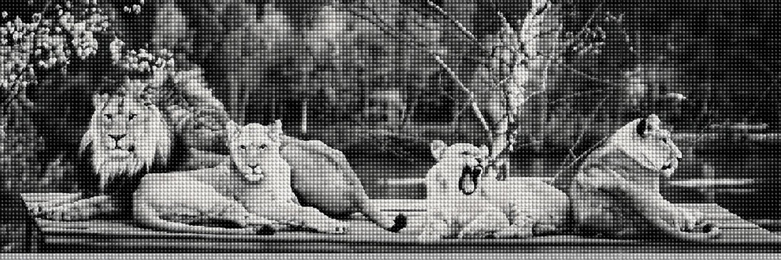 Diamond Painting einer Löwenfamilie mit Löwe und drei Löwinnen in Schwarz-Weiß. Mockup.