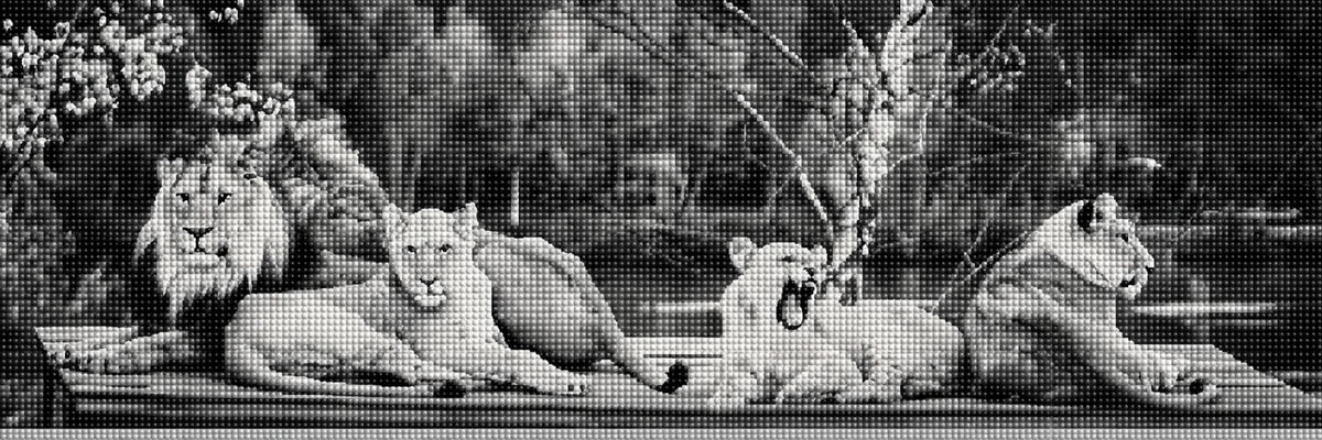 Diamond Painting einer Löwenfamilie mit Löwe und drei Löwinnen in Schwarz-Weiß. Mockup.