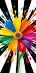 Diamond Painting mit Regenbogenblume, bunten Farbspritzern und radialem Schwarz-Weiß-Hintergrund