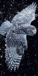 Diamond Painting mit fliegender Schneeeule, ausgebreiteten Flügeln und Kristallsplittern auf schwarzem Grund