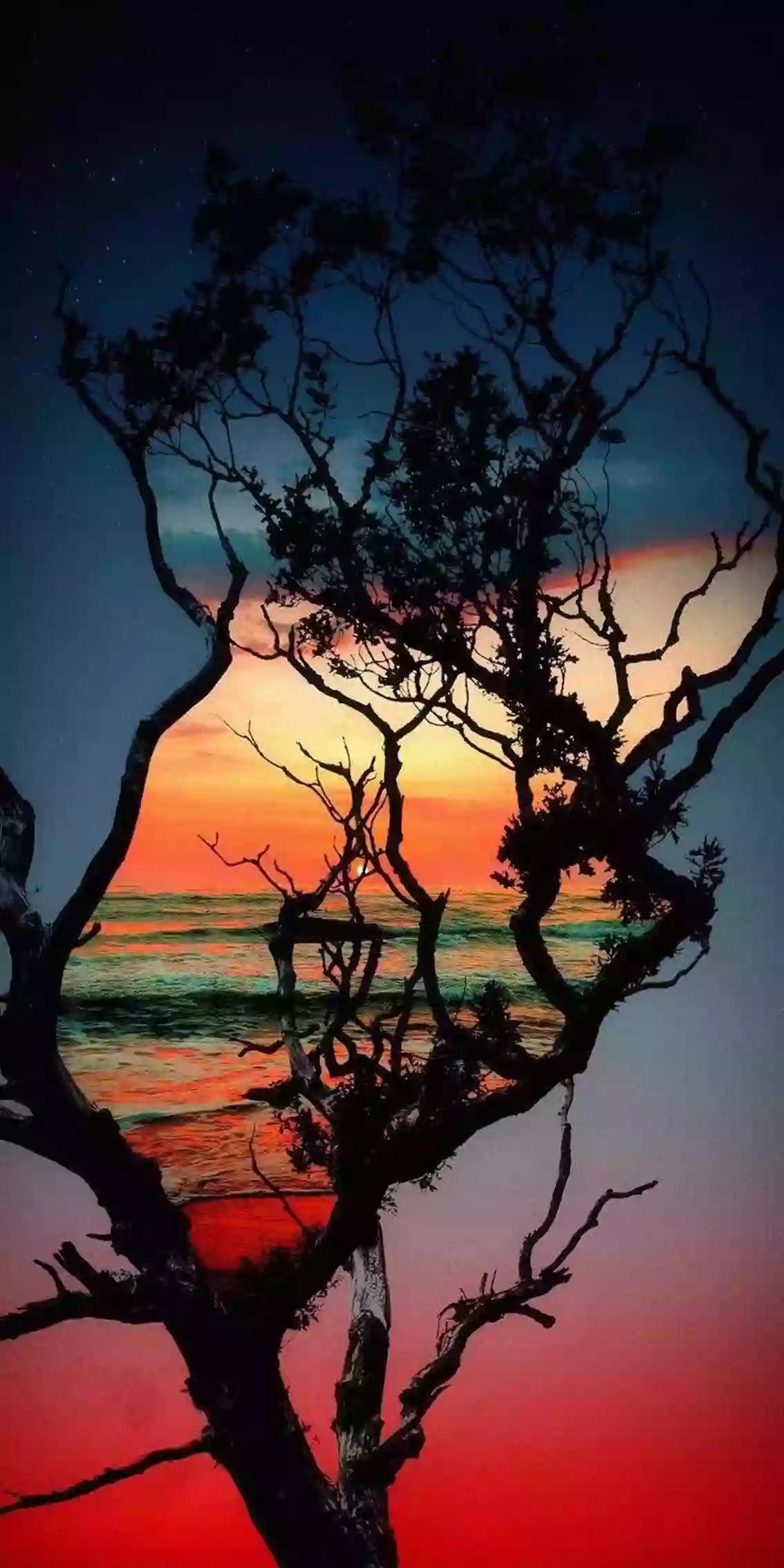 Dramatischer Sonnenuntergang am Meer mit Baum als Diamond Painting.