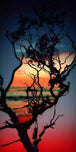 Dramatischer Sonnenuntergang am Meer mit Baum als Diamond Painting.
