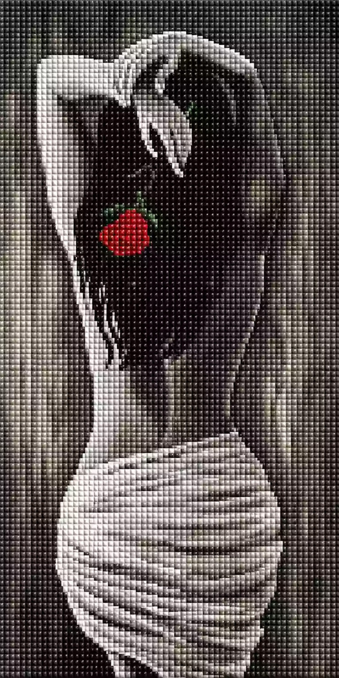 Weiblicher Rücken mit einer roten Rose im Diamond Painting Stil. Mock up
