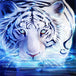 Diamond Painting mit weißem Tiger und leuchtender Wasseroberfläche in blauen Lichtfarben.
