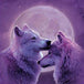 Diamond Painting zwei Wölfe die sich vor einem großen Vollmond in violettem Licht zärtlich berühren.