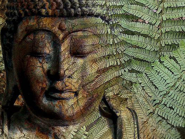 Diamond Painting eines Buddhas aus Stein, der teilweise von grünen Farnblättern verdeckt wird. 
