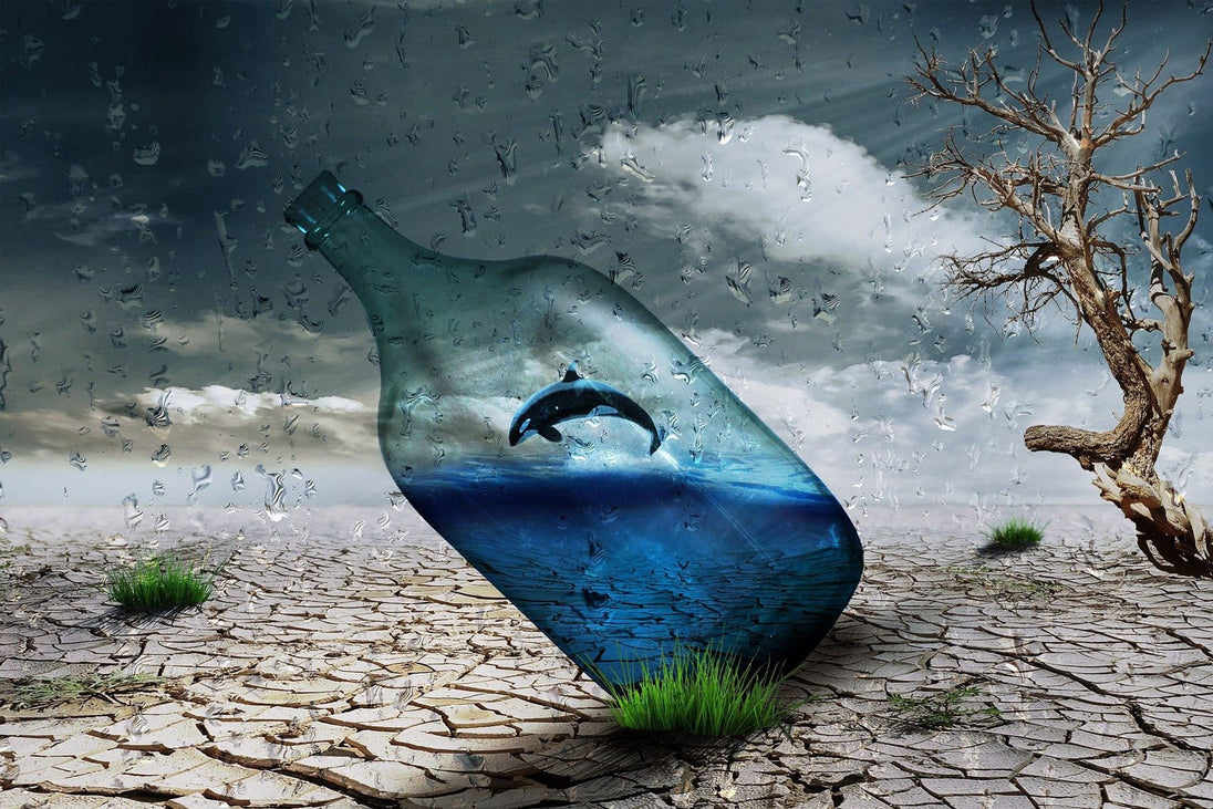 Diamond Painting einer Glasflasche mit Delfin im Meer auf trockenem Wüstenboden unter Regen. 
