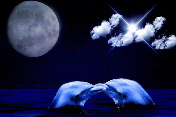 Diamond Painting von zwei sich küssenden Delfinen im Meer unter einem großen Vollmond bei Nacht.