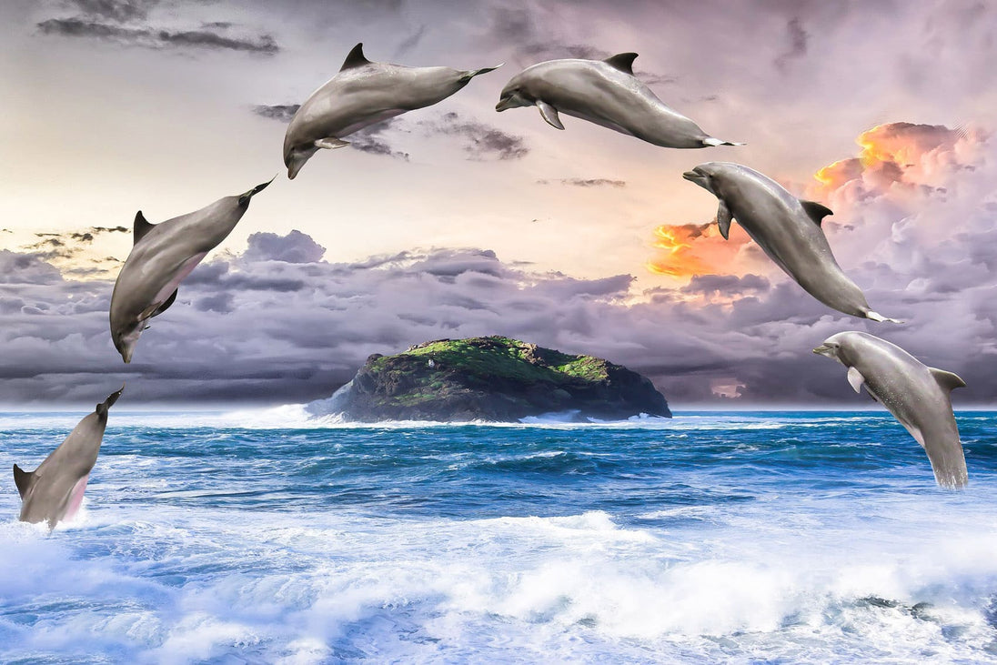 Diamond Painting einer Gruppe von Delfinen, die kreisförmig über eine kleine Insel im Meer springen. 
