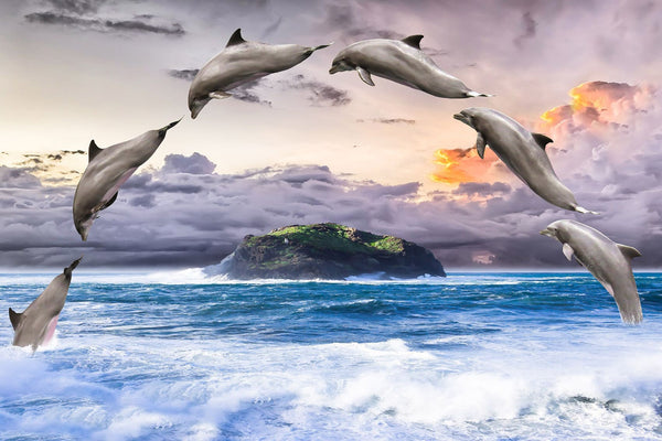 Diamond Painting einer Gruppe von Delfinen, die kreisförmig über eine kleine Insel im Meer springen. 
