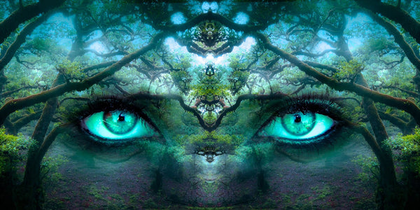 Diamond Painting mit mystischem Waldgeist aus Bäumen und leuchtend smaragdgrünen Augen.
