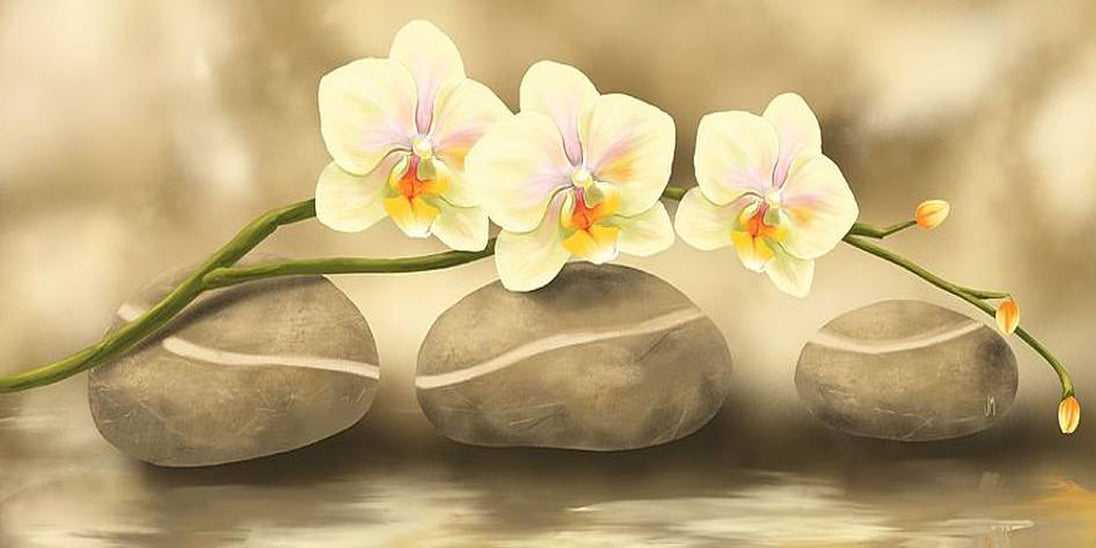Diamond Painting weiße Orchideenblüten, die über drei runden Zen-Steinen im Wasser schweben.