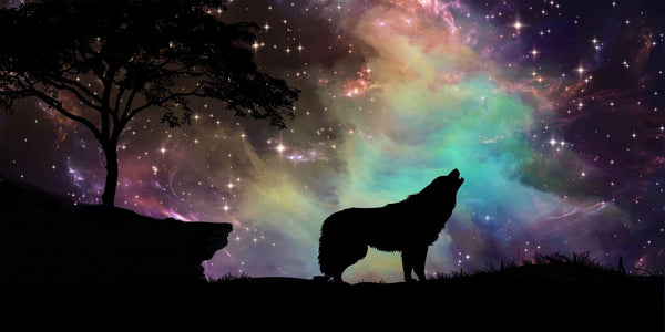 Diamond Painting Silhouette eines heulenden Wolfes vor einem bunten Sternenhimmel und einer Galaxie.

