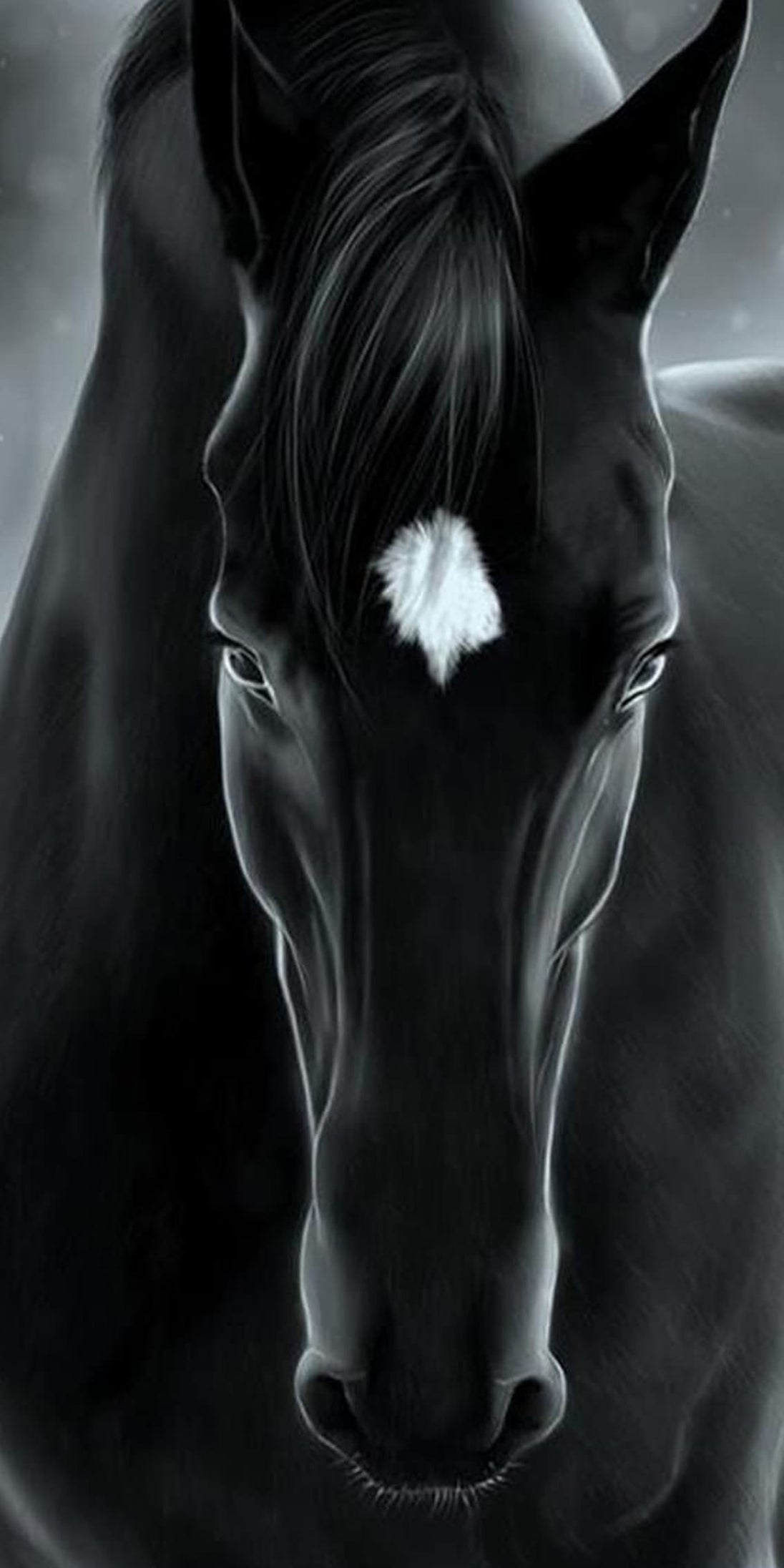 Diamond Painting Portrait eines schwarzen Pferdekopfes mit weißem Abzeichen auf der Stirn.
